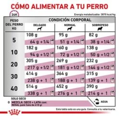 Royal Canin Veterinary Canine Renal Special Pienso Para Perros 12 Royal Canin Veterinary Canine Renal Special Pienso Para Perros -Mascota Suministros Ventas rc vet dry dogrenalspe cv eretailkit 6 es es 3