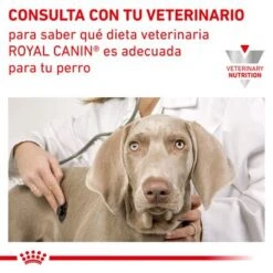 Royal Canin Veterinary Canine Urinary U/C Low Purine Pienso Para Perros 10 Royal Canin Veterinary Canine Urinary U/C Low Purine Pienso Para Perros -Mascota Suministros Ventas rc vet dry dogurinaryuc cv eretailkit 6 es es 3