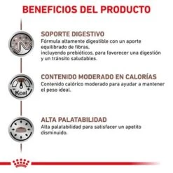 Royal Canin Veterinary Feline Gastro Intestinal Moderate Calorie 10 Royal Canin Veterinary Feline Gastro Intestinal Moderate Calorie -Mascota Suministros Ventas rc vet wet catgastromcmig cv eretailkit 2 es es 1