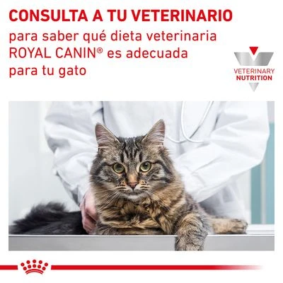 Royal Canin Veterinary Feline Gastro Intestinal Moderate Calorie 8 Royal Canin Veterinary Feline Gastro Intestinal Moderate Calorie - Imagen 8