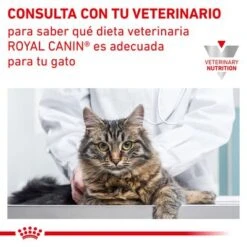 Royal Canin Veterinary Feline Urinary S/O Moderate Calorie -Mascota Suministros Ventas rc vet wet caturinarysomc cv eretailkit 6 es es 9