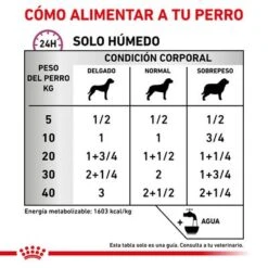 Royal Canin Veterinary Canine Renal Special Mousse -Mascota Suministros Ventas rc vet wet dogrenalspeloaf410 cv eretailkit 4 es es 7