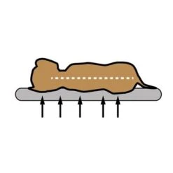 Cojín Ortopédico Pawz & Pepper Denver -Mascota Suministros Ventas skizze memory foam 1