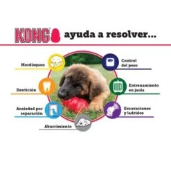 KONG Extreme Juguete Negro Para Perros 16 KONG Extreme Juguete Negro Para Perros -Mascota Suministros Ventas solutions es 4