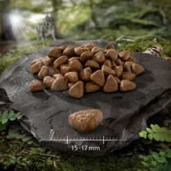 Pack Ahorro: 2 X 12 Wolf Of Wilderness Elements -Mascota Suministros Ventas wow adult monoprotein elements fiery volcanoes lamm 752928 0 15 17 mm 9