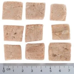 Pack De Prueba Mixto: Wolf Of Wilderness Snacks Liofilizados Premium -Mascota Suministros Ventas wow fd snack blue river cubes with ruler 4 1