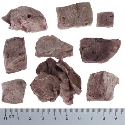 Pack Ahorro 4 X Wolf Of Wilderness RAW Snacks Liofilizados Premium 14 Pack Ahorro 4 X Wolf Of Wilderness RAW Snacks Liofilizados Premium - Imagen 14