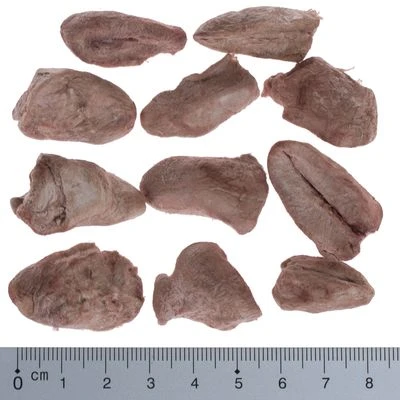 Pack Ahorro 4 X Wolf Of Wilderness RAW Snacks Liofilizados Premium 17 Pack Ahorro 4 X Wolf Of Wilderness RAW Snacks Liofilizados Premium - Imagen 17