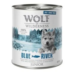 Wolf Of Wilderness Free Range Junior 6 X 800 G -Mascota Suministros Ventas wow freerange junior blueriver 800g 1000x1000 1 3 1