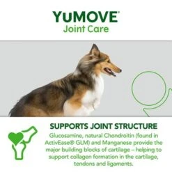 YuMOVE Cuidado Articular Para Perros Adultos -Mascota Suministros Ventas yumove joint care adult 300 7 5