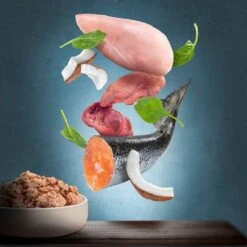 Purizon Adult 24 X 200 G Comida Húmeda Para Gatos - Pack Ahorro -Mascota Suministros Ventas zop 21 117 purizon katze nassfutter marketingboards lachs p2 5 1