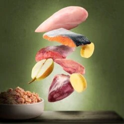 Purizon Adult 6 X 200 G Comida Húmeda Para Gatos, Sin Cereales -Mascota Suministros Ventas zop 21 117 purizon katze nassfutter marketingboards lamm lachs 4 2