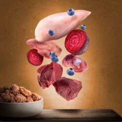 Purizon Adult 6 X 200 G Comida Húmeda Para Gatos, Sin Cereales -Mascota Suministros Ventas zop 21 117 purizon katze nassfutter marketingboards wildschwein 9 2