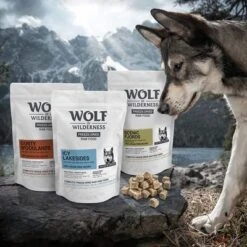 Wolf Of Wilderness Icy Lakesides Con Cordero, Trucha Y Pollo -Mascota Suministros Ventas zop 22 060 wolf of wilderness barf image p2 d1 dsc3487 1